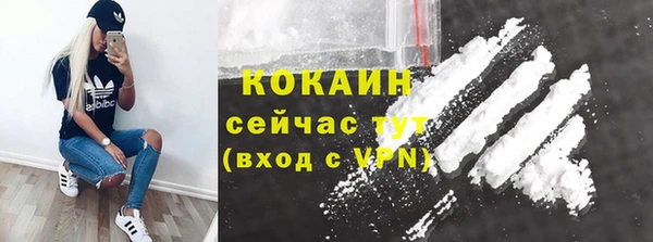 прущие грибы Балахна