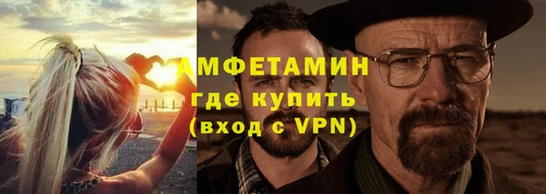 прущие грибы Балахна