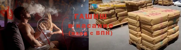 прущие грибы Балахна