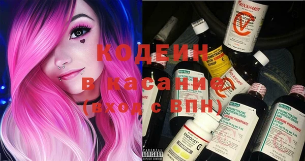 прущие грибы Балахна