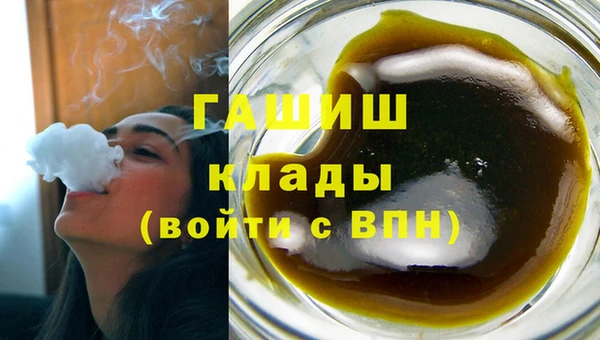 прущие грибы Балахна
