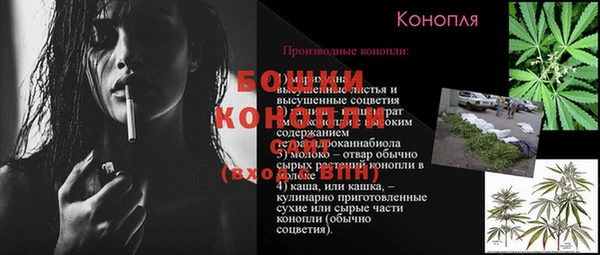 прущие грибы Балахна