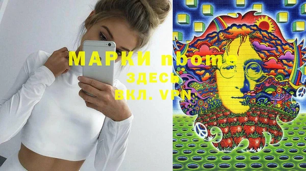 прущие грибы Балахна