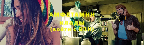 прущие грибы Балахна
