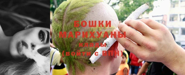прущие грибы Балахна